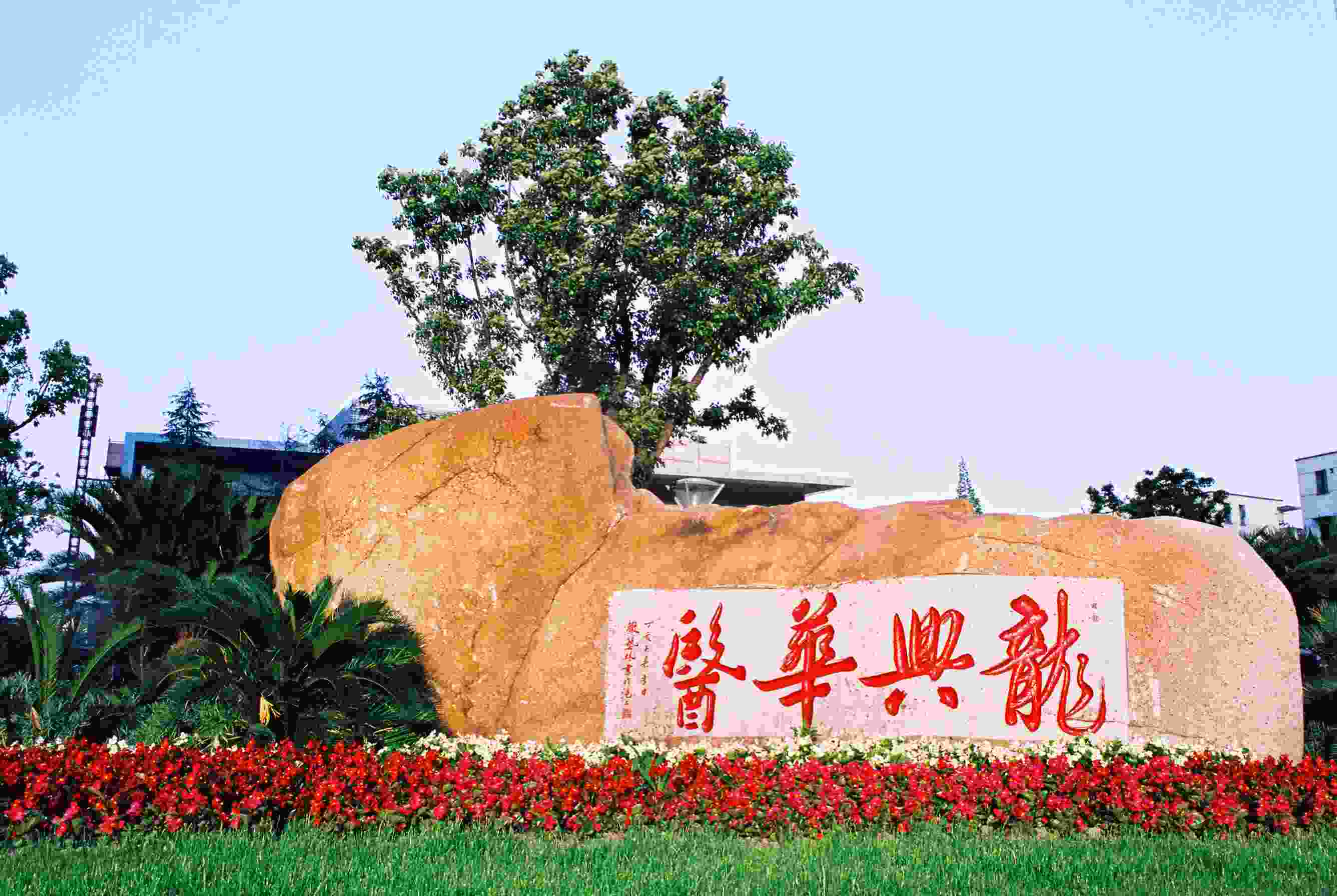 龙华医院概况 2